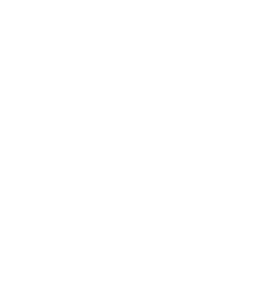 Flávio Muniz - especialista em seo - otimização seo